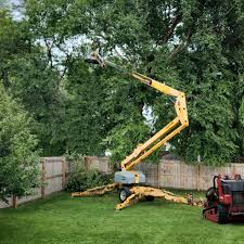 Hanover, PA Tree Services Company